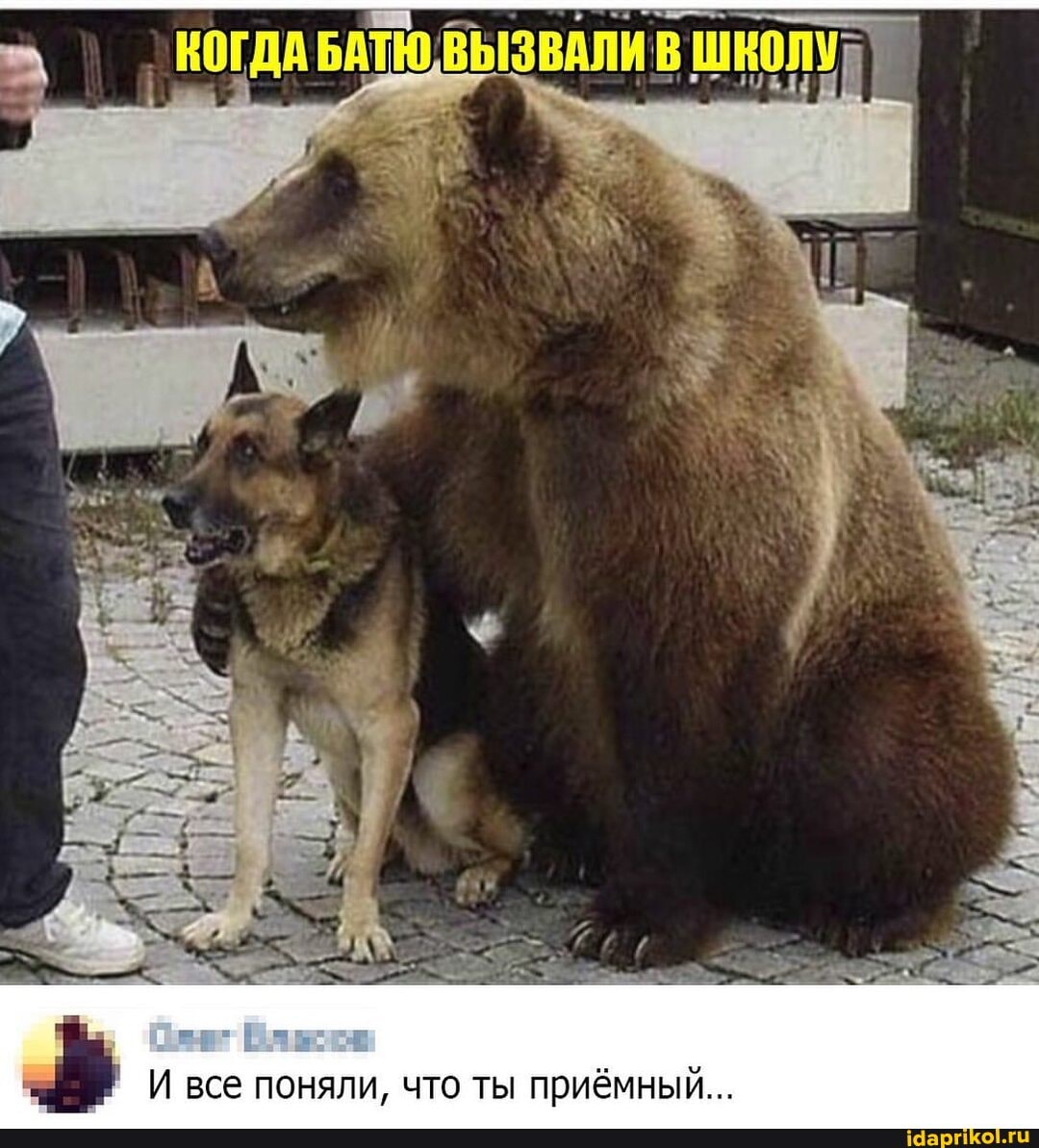 И все поняли, что ты приёмный...