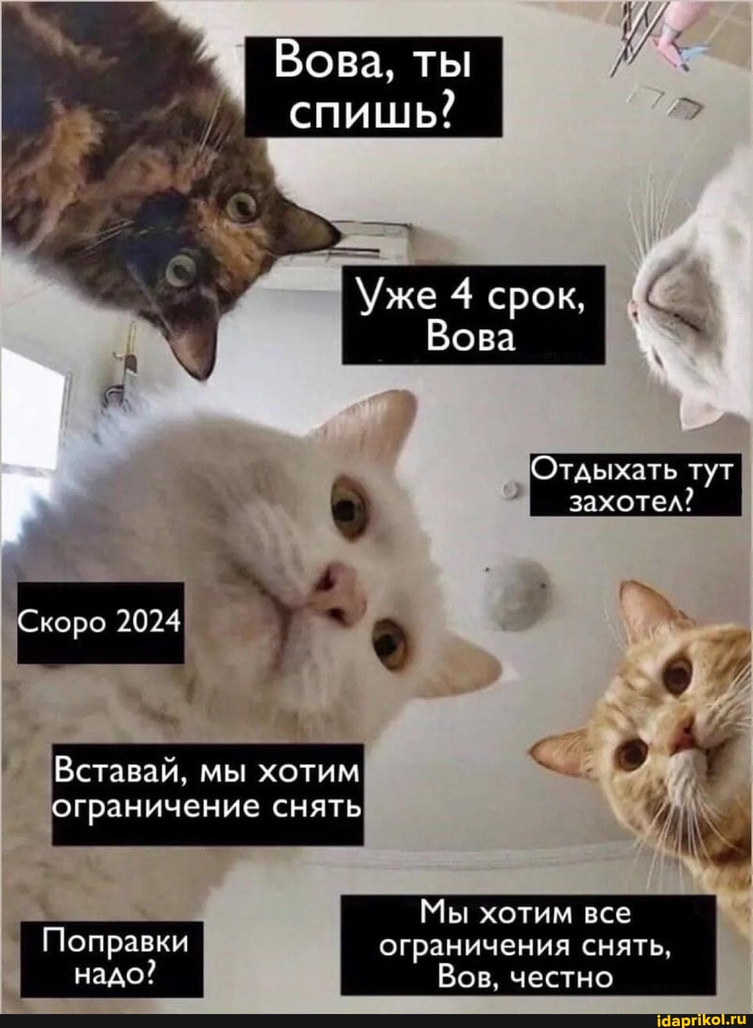 спишь?
Уже 4 срок,
Вова
Отдыхать тут
захотел?