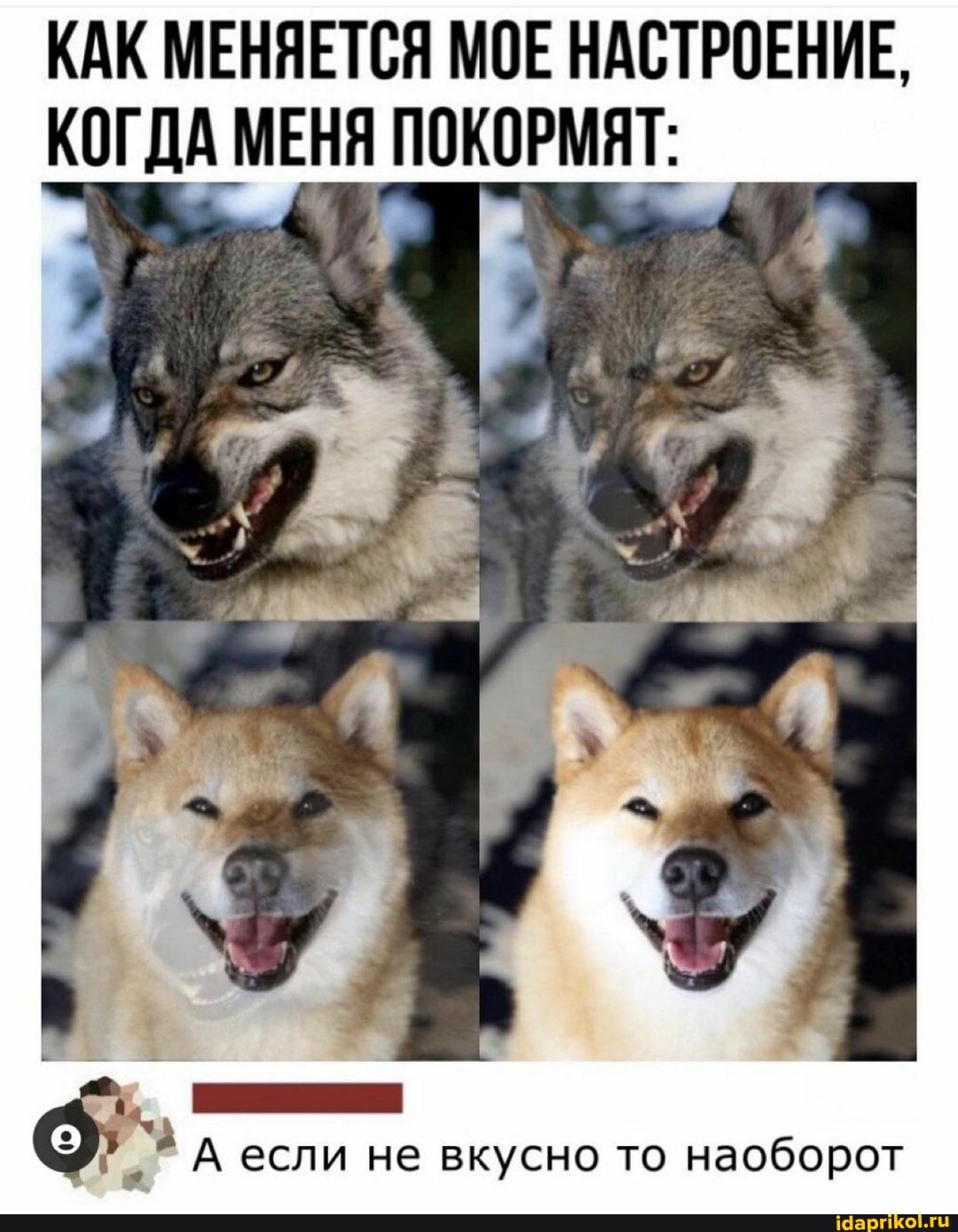 КАК МЕНЯЕТСЯ МОЕ НАСТРОЕНИЕ,
КОГДА МЕНЯ ПОКОРМЯТ:
А если не вкусно то наоборот