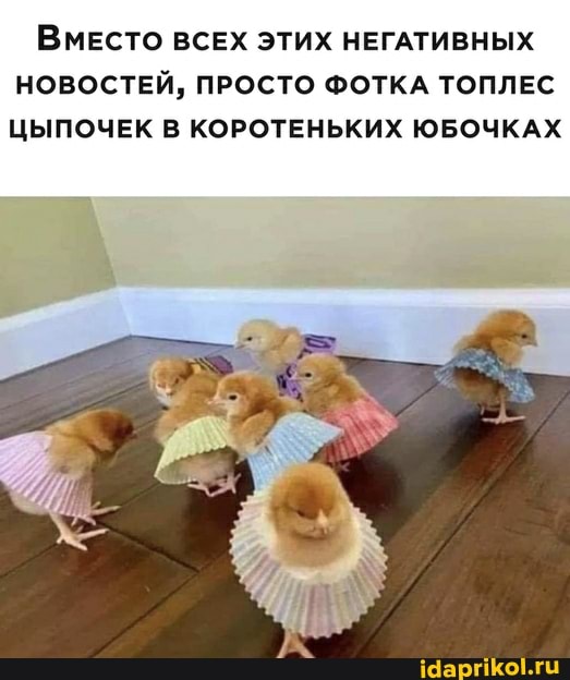 ВмЕСТО ВСЕХ ЭТИХ НЕГАТИВНЫХ НОВОСТЕЙ, ПРОСТО ФОТКА ТОПЛЕС ЦЫПОЧЕК В КОРОТЕНЬКИХ ЮБОЧКАХ