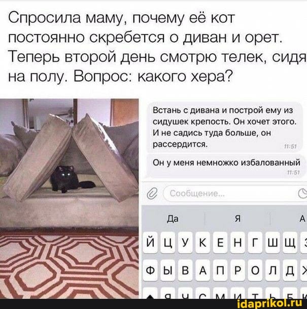 Спросила маму, почему её кот постоянно скребется о диван и орет.
Теперь второй день смотрю телек, сидя на полу. Вопрос: какого хера?
Встань с дивана и построй ему из
'сидушек крепость. Он хочет этого.
И не садись туда больше, он
рассердится.
Он уменя немножко избалованный
ЙЦУКЕНГШЩ: