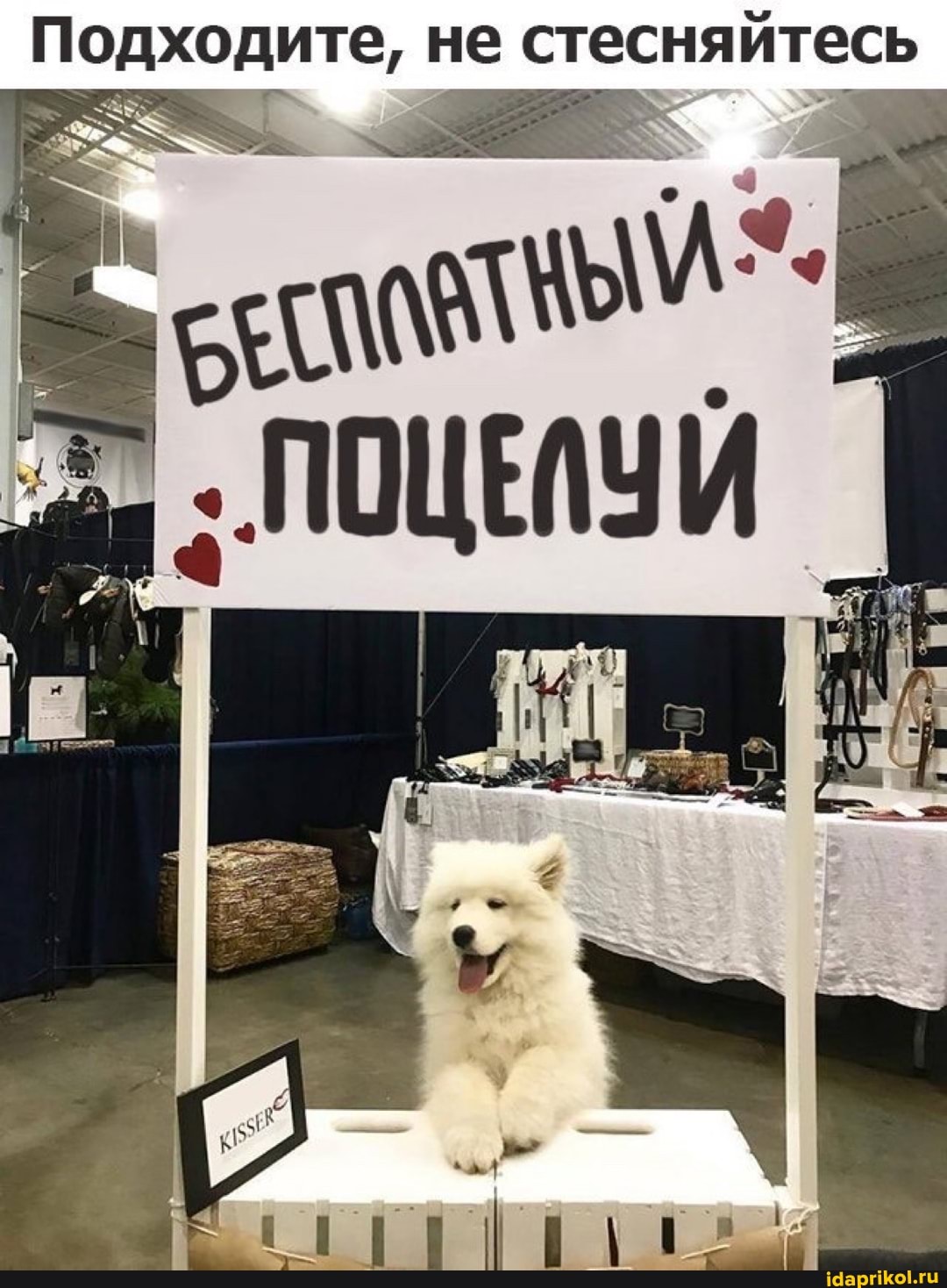 Подходите, не стесняйтесь