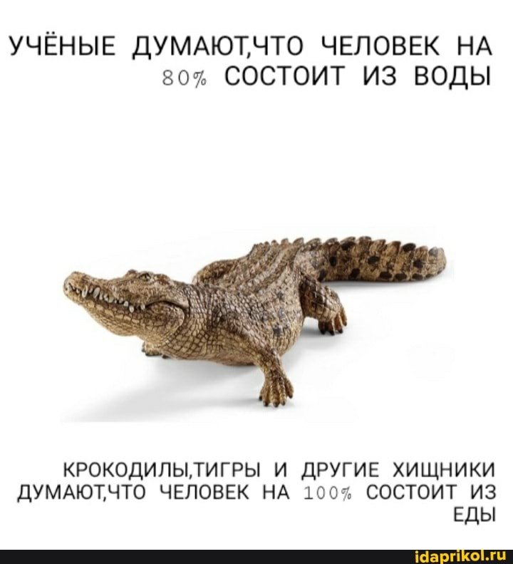 УЧЁНЫЕ ДУМАЮТЧТО ЧЕЛОВЕК НА
80% СОСТОИТ ИЗ ВОДЫ
КРОКОДИЛЫ ТИГРЫ И ДРУГИЕ ХИЩНИКИ ДУМАЮТ ЧТО ЧЕЛОВЕК НА 100% СОСТОИТ ИЗ ЕДЫ