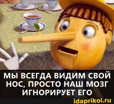 МЫ ВСЕГДА ВИДИМ СВОЙ НОС, ПРОСТО НАШ МОЗГ ИГНОРИРУЕТ ЕГО