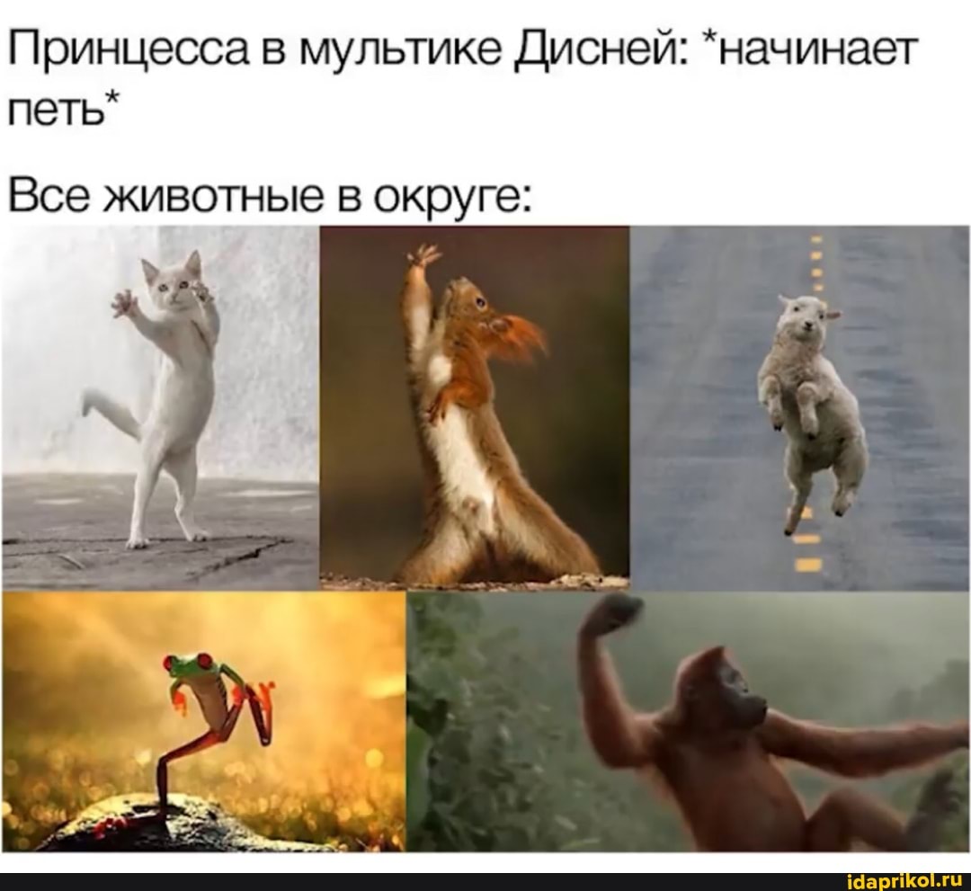 Принцесса в мультике Дисней: *начинает петь*
Все животные в округе: