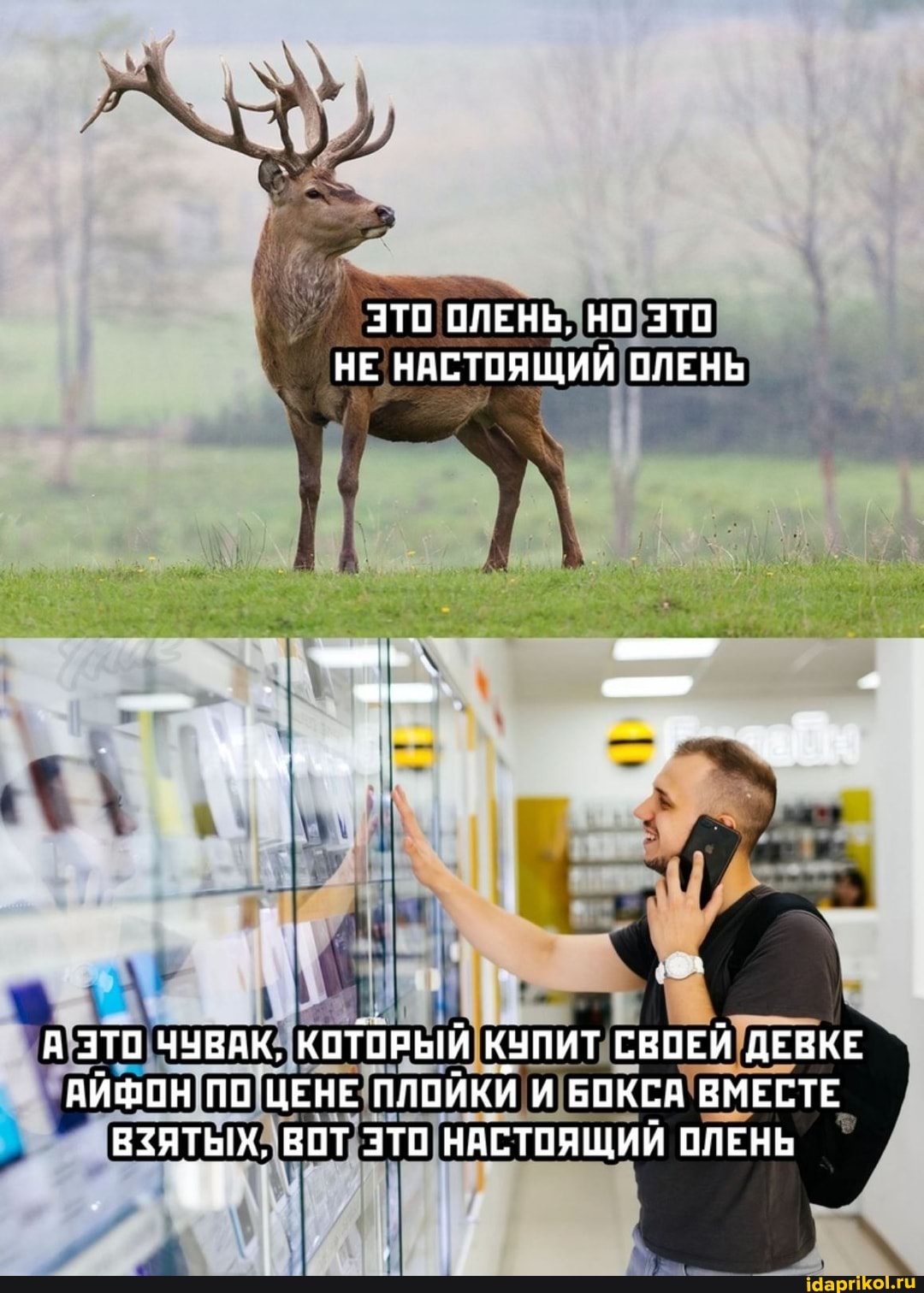 ЭТО ОЛЕНЬ, НО ЭТО НЕ НАСТОЯЩИЙ ОЛЕНЬ
д ЭТО ЧУВАК, КОТОРЫЙ КУПИТ СВОЕЙ ДЕВКЕ АЙФОН ПО ЦЕНЕ ПЛОЙКИ И БОКСА ВМЕСТЕ ВЗЯТЫХ, ВОТ ЗТО НАСТОЯЩИЙ ОЛЕНЬ