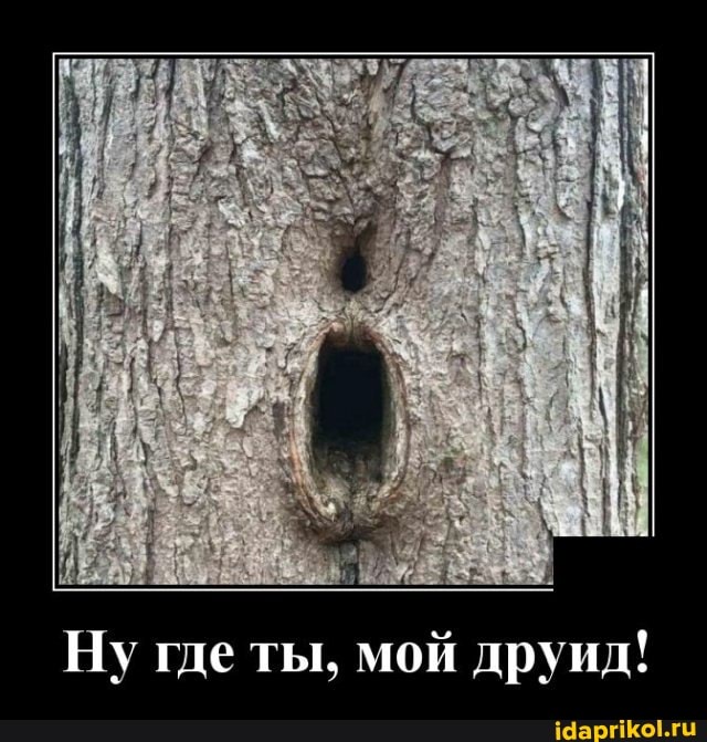 Ну где ты, мой друид!