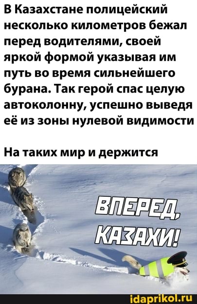 В Казахстане полицейский несколько километров бежал перед водителями, своей яркой формой указывая им путь во время сильнейшего бурана. Так герой спас целую автоколонну, успешно выведя её из зоны нулевой видимости
На таких мир и держится
ВПЕРЕД.