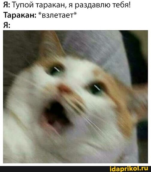 Я: Тупой таракан, я раздавлю тебя!
Таракан: *взлетает*