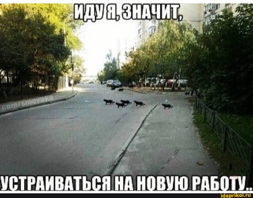 УСТРАИВАТЬСЯ НА НОВУЮ РАБОТУ.