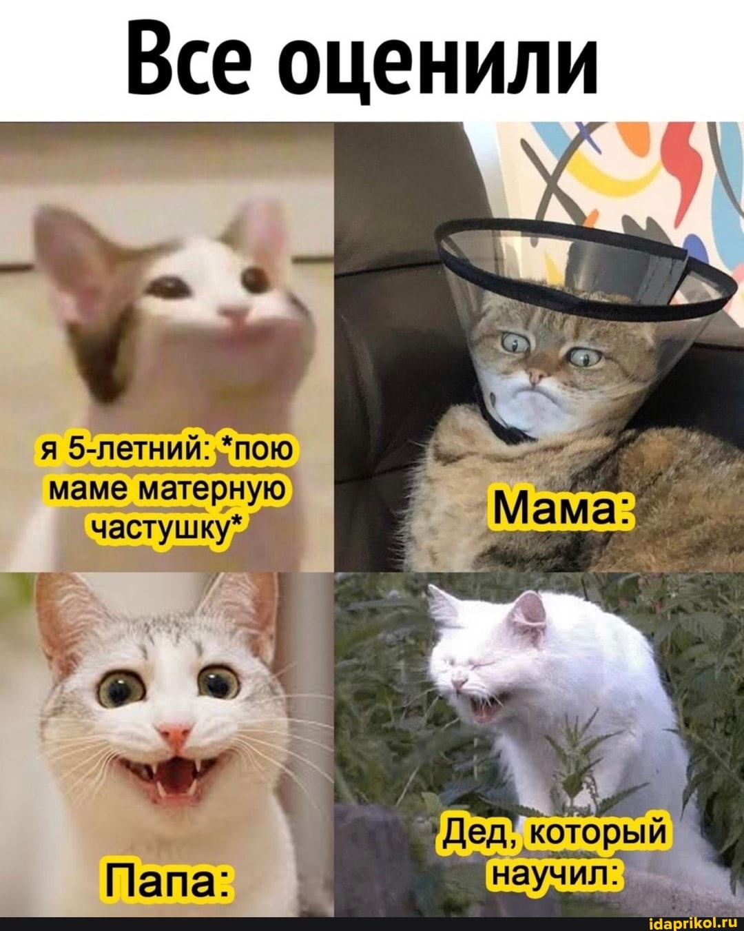Все оценили
Дед, который
научил:
Пала: