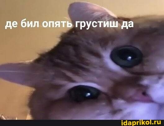 де бил опять грустиш да