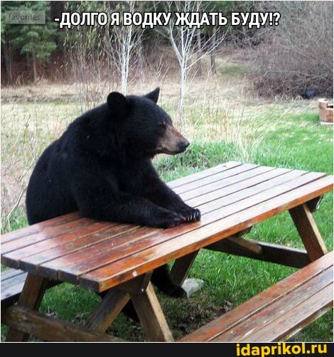 - ДОЛГО Я ВОДКУ ЖДАТЬ БУДУ