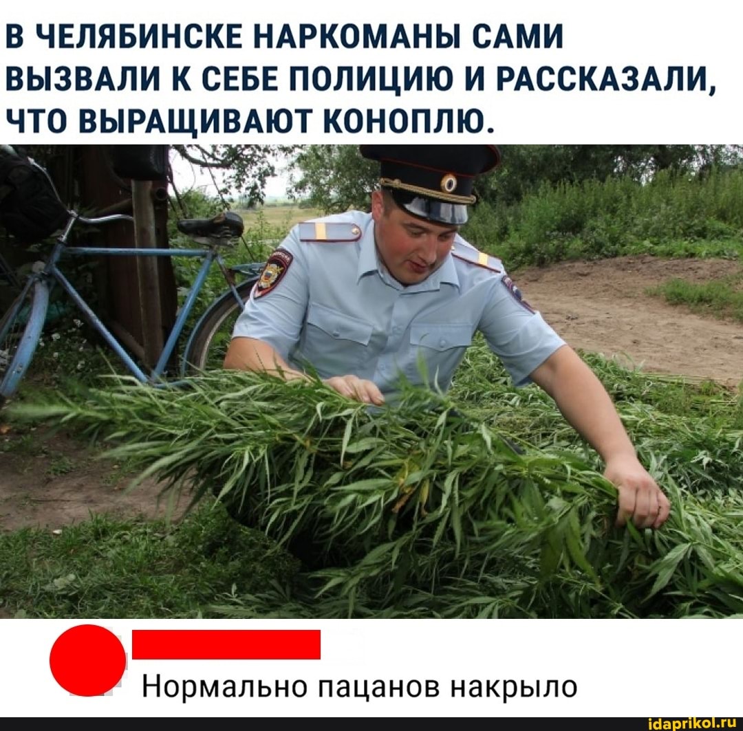 В ЧЕЛЯБИНСКЕ НАРКОМАНЫ САМИ ВЫЗВАЛИ К СЕБЕ ПОЛИЦИЮ И РАССКАЗАЛИ,
ЧТО ВЫРАЩИВАЮТ КОНОПЛЮ.
Нормально пацанов накрыло
