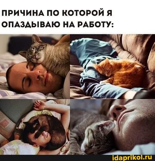 ПРИЧИНА ПО КОТОРОЙ Я ОПАЗДЫВАЮ НА РАБОТУ: