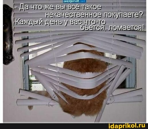 - Да что же вы всё таков некачественное покупаете?
Каждый день у вас что-то
беётся, ломается!