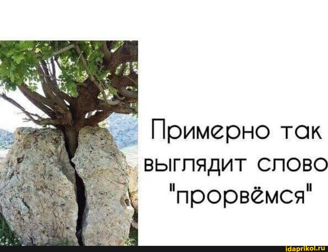 Примерно так
' ВЫГЛЯДИТ СЛОВО
"прорвёмся"
