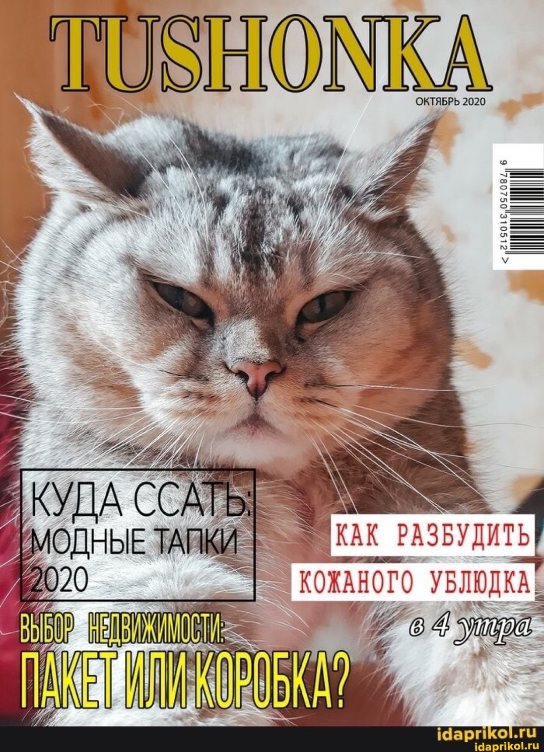 ОКТЯБРЬ 2020
КСХАНСТО УБЛЮДКА
утра-