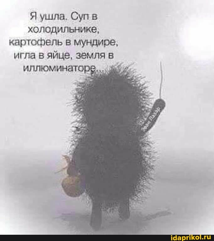 Я ушла. Суп холодильнике, картофель в мундире, игла в яйце, земля в
иллюминаторе...