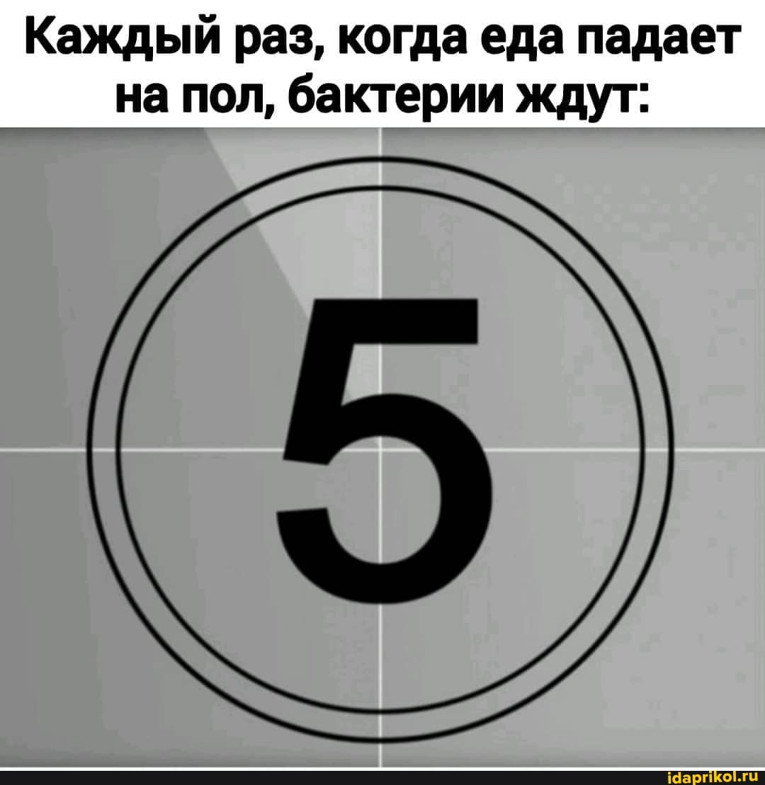 Каждый раз, когда еда падает на пол, бактерии ждут: