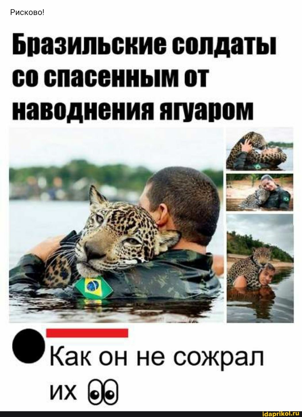 Бразильские солдаты спасенным от наводнения ягуаром
Как он не сожрал
их