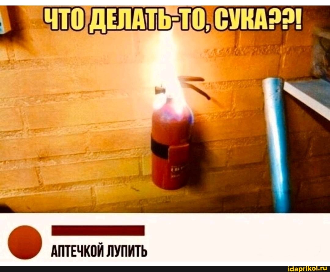 СУКА
АПТЕЧКОЙ ЛУПИТЬ