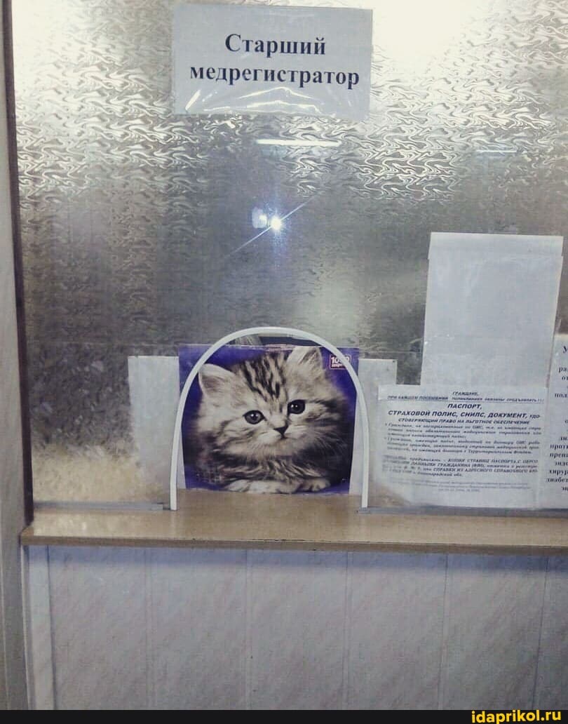 Старший медрегистратор