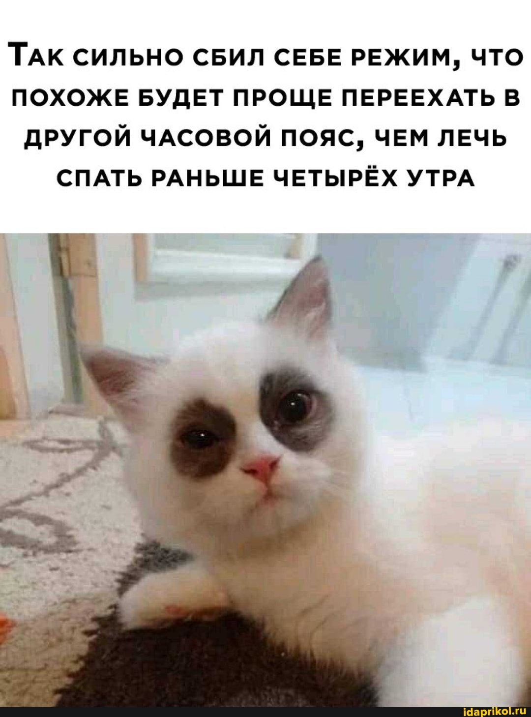 ТАК СИЛЬНО СБИЛ СЕБЕ РЕЖИМ, ЧТО ПОХОЖЕ БУДЕТ ПРОЩЕ ПЕРЕЕХАТЬ В ДРУГОЙ ЧАСОВОЙ ПОЯС, ЧЕМ ЛЕЧЬ СПАТЬ РАНЬШЕ ЧЕТЫРЁХ УТРА