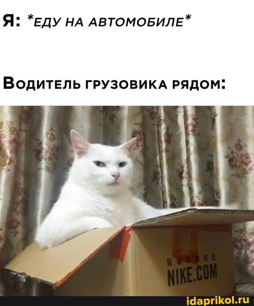 Я: *ЕДУ НА АВТОМОБИЛЕ*
ВодитеЛЬ ГРУЗОВИКА РЯДОМ: