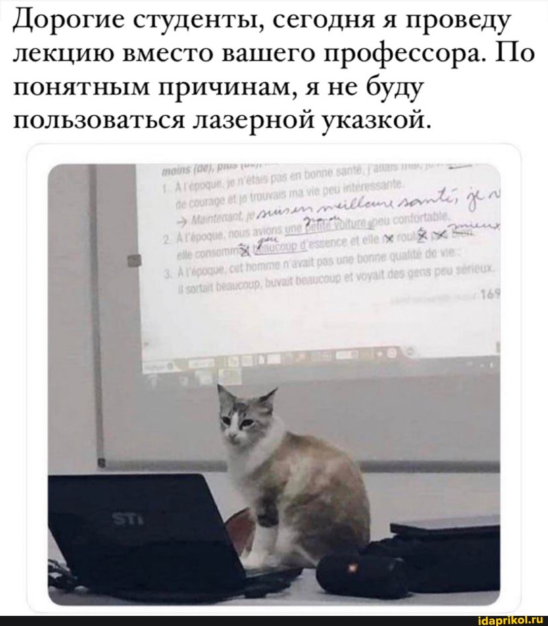 Дорогие студенты, сегодня я проведу лекцию вместо вашего профессора. По понятным причинам, я не буду пользоваться лазерной указкой.