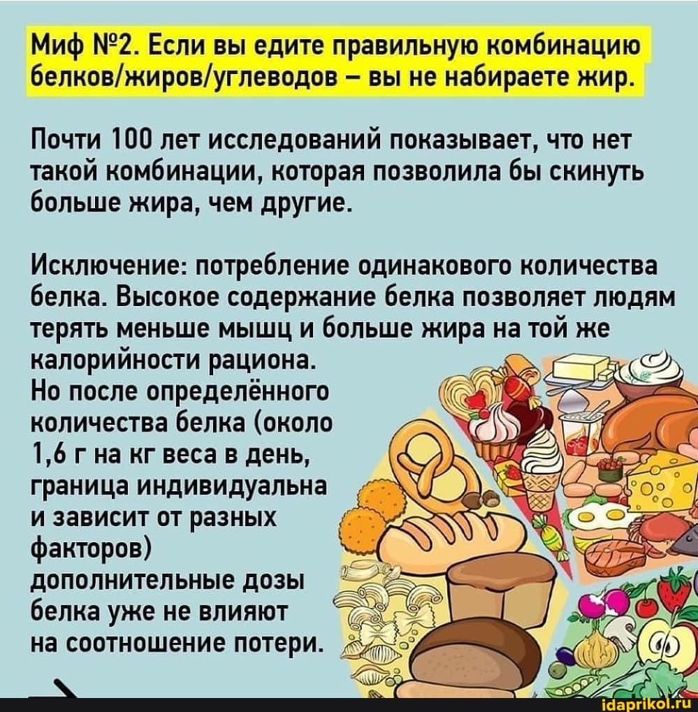 Миф Если вы едите правильную комбинацию вы не набираете жир.
Почти 100 лет исследований показывает, что нет такой комбинации, которая позволила бы скинуть больше жира, чем другие.
Исключение: потребление одинакового количества белка. Высокое содержание белка позволяет людям терять меньше мышц и больше жира на той же калорийности рациона.
Но после определённого количества белка (около
1,6 на кг веса в день, граница индивидуальна и зависит от разных факторов) дополнительные дозы белка уже не влияют
на соотношение потери.