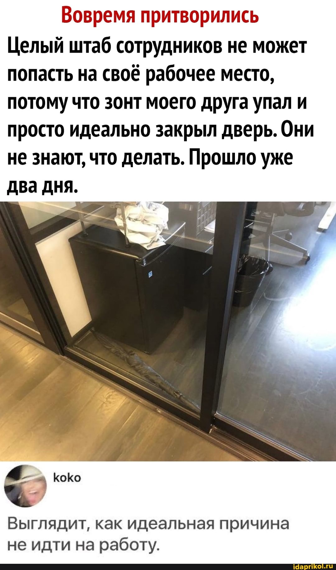 Вовремя притворились
Целый штаб сотрудников не может попасть на своё рабочее место, потому что зонт моего друга упал и просто идеально закрыл дверь. Они
не знают, что делать. Прошло уже два дня.
Выглядит, как идеальная причина не идти на работу.
