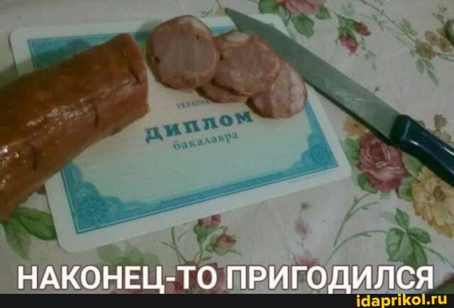 НАКОНЕЦ-ТО ПРИГОДИЛСЯ