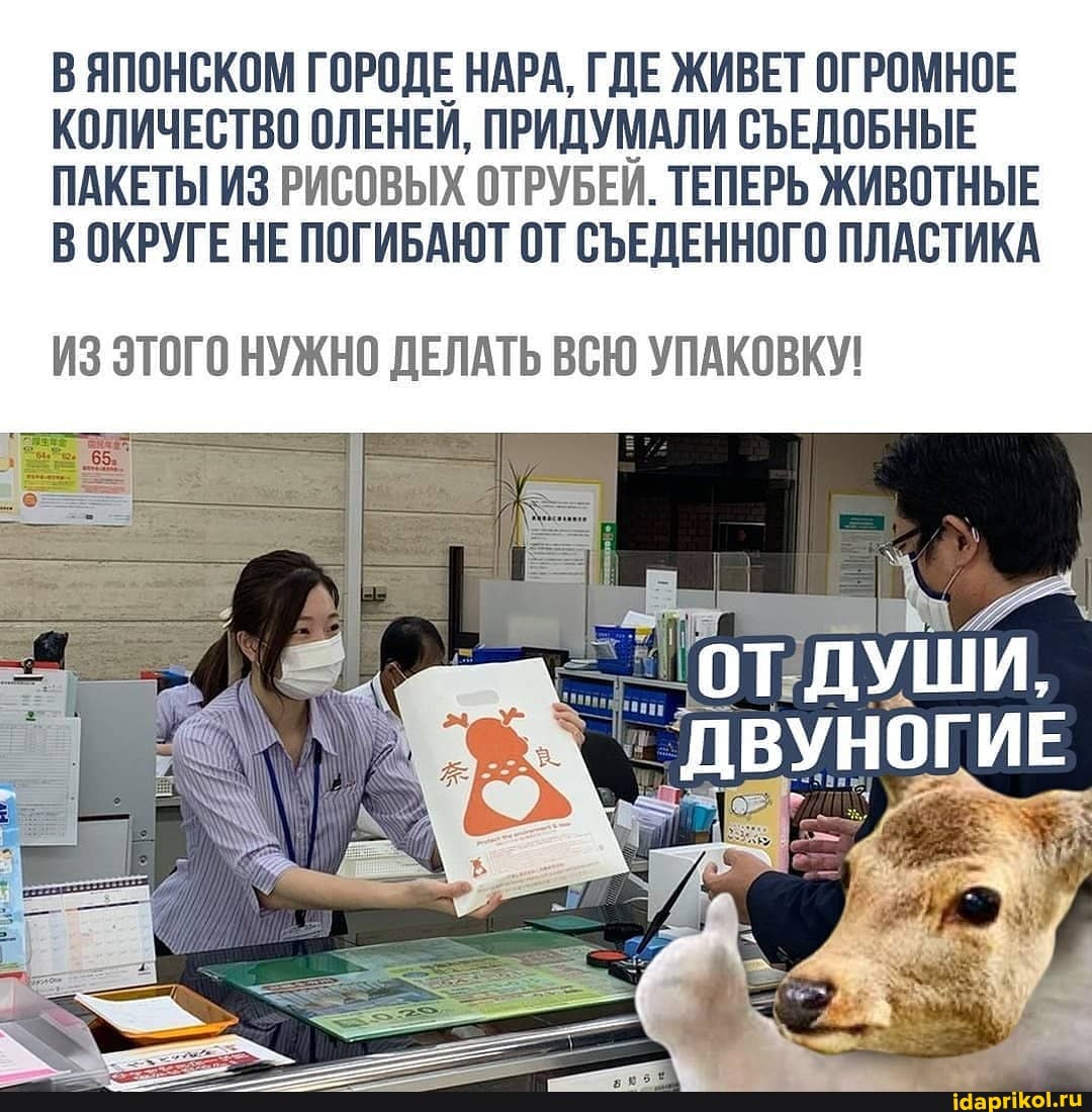 ВЯПОНСКОМ ГОРОДЕ НАРА, ГДЕ ЖИВЕТ ОГРОМНОЕ КОЛИЧЕСТВО ОЛЕНЕИ, ПРИДУМАЛИ СЪЕДОБНЫЕ ПАКЕТЫ ИЗ РИСОВЫХ ОТРУБЕЙ. ТЕПЕРЬ ЖИВОТНЫЕ В ОКРУГЕ НЕ ПОГИБАЮТ ОТ СЪЕДЕННОГО ПЛАСТИКА
ИЗ ЭТОГО НУЖНО ДЕЛАТЬ ВСЮ УПАКОВКУ!
ДУШИ,
ДВУНОГИЕ