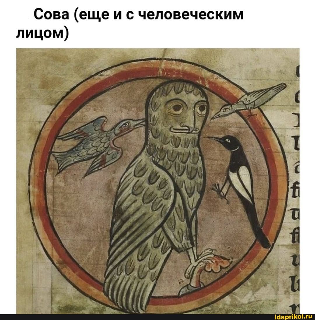 Сова (еще и с человеческим лицом)