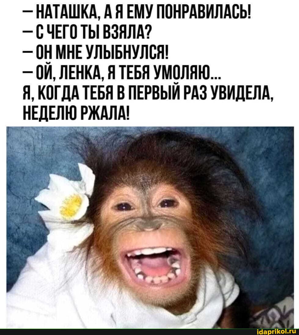 - НАТАШКА, АЯЕМУ ПОНРАВИЛАСЬ!
- С ЧЕГО ТЫ ВЗЯЛА?
- ОНМНЕ УЛЫБНУЛСЯ!
- И, ЛЕНКА, Я ТЕБЯ УМОЛЯЮ...
Я, КОГДА ТЕБЯ В ПЕРВЫИ РАЗ УВИДЕЛА,
НЕДЕЛЮ РЖАЛА!
ы Ы