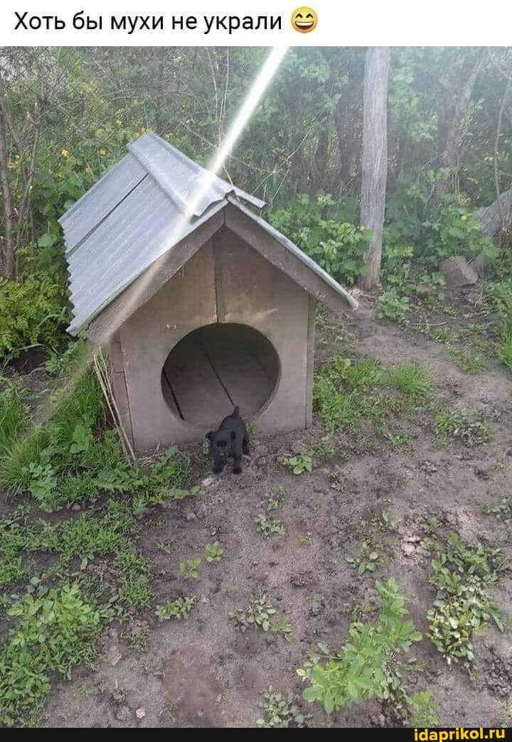 Хоть бы мухи не украли