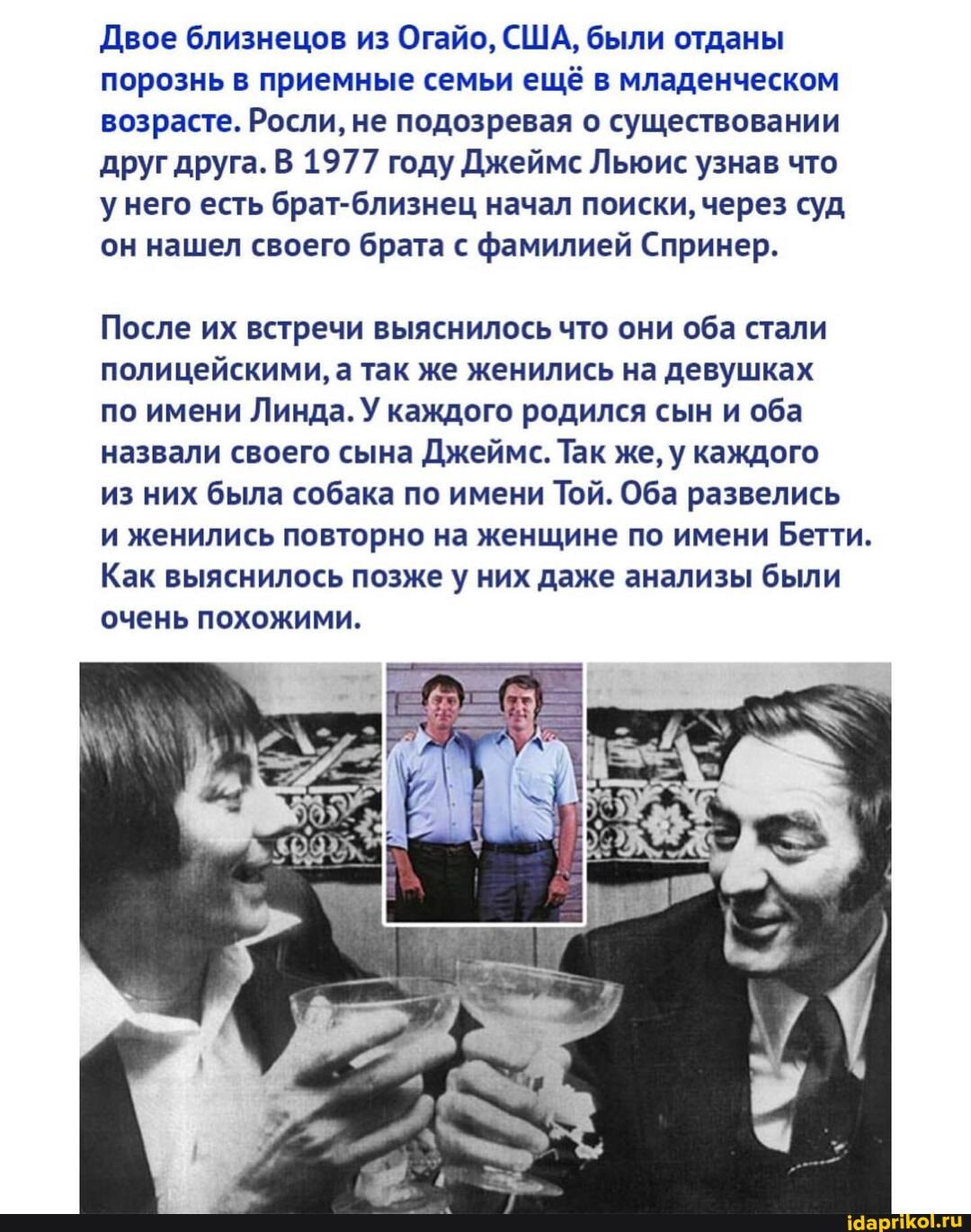 Двое близнецов из Огайо, США, были отданы порознь в приемные семьи ещё в младенческом возрасте. Росли, не подозревая о существовании друг друга. В 1977 году Джеймс Льюис узнав что него есть брат-близнец начал поиски, через суд он нашел своего брата с фамилией Спринер.
После их встречи выяснилось что они оба стали полицейскими, а так же женились на девушках
по имени Линда. У каждого родился сын и оба назвали своего сына Джеймс. Так же, у каждого
из них была собака по имени Той. Оба развелись
и женились повторно на женщине по имени Бетти.
Как выяснилось позже у них даже анализы были очень похожими.