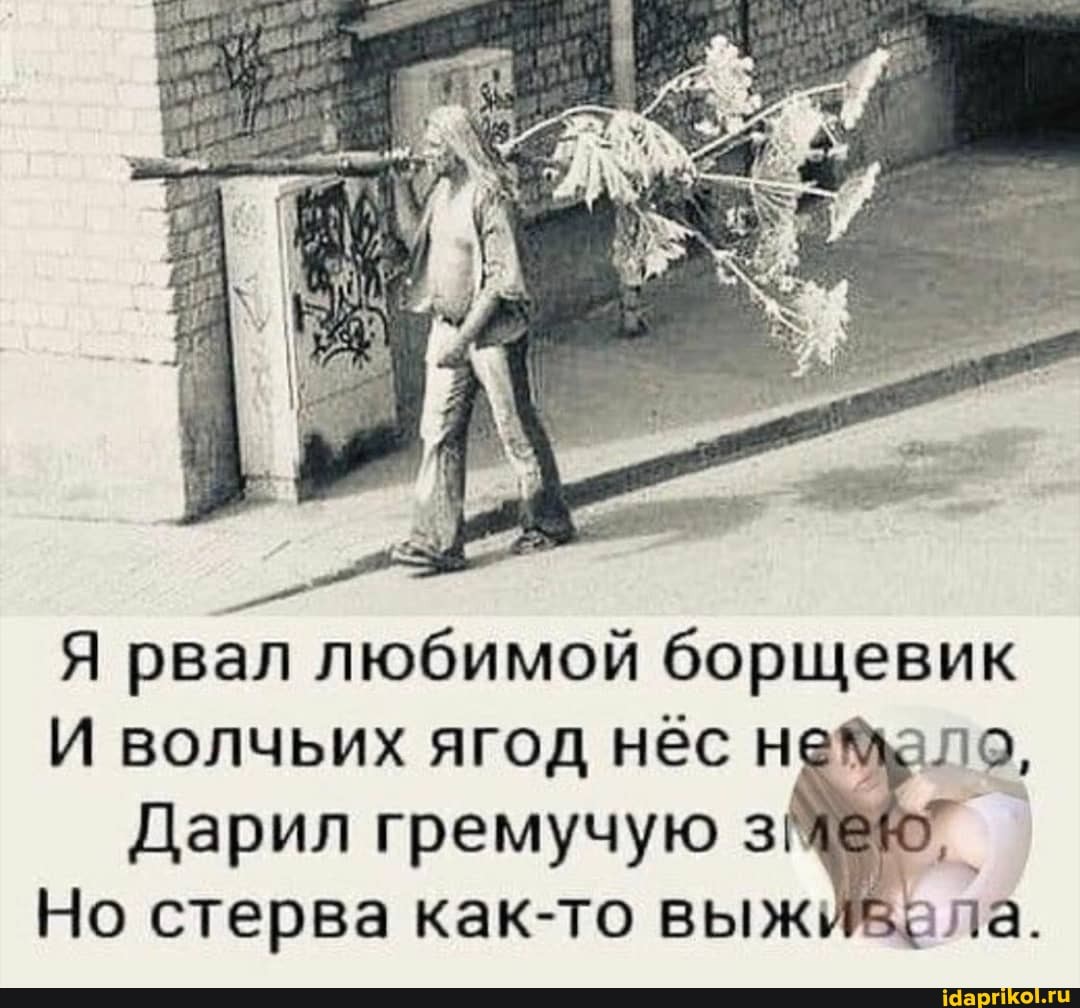 Я рвал любимой борщевик
И волчьих ягод нёс
Дарил гремучую з
Но стерва как-то выж ела.
