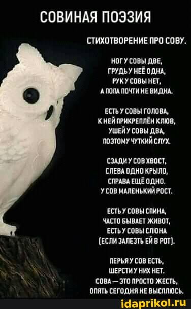 СОВИНАЯ ПОЭЗИЯ СТИХОТВОРЕНИЕ ПРО СОВУ.
НОГУ СОВЫ ДВЕ,
ГРУДЬУ НЕЕ ОДНА,
РУКУ СОВЫ НЕТ,
'АПОПА ПОЧТИ НЕВИДНА.
ЕСТЬУ СОВЫ ГОЛОВА,
КНЕЙ ПРИКРЕПЛЁН КЛЮВ,
УШЕЙУ СОВЫ ДВА,
ПОЗТОМУ ЧУТКИЙ СЛУХ,
СЗАДИУ СОВ ХВОСТ,
СЛЕВАОДНО КРЫЛО,
СПРАВА ЕЩЕ ОДНО.
УСОВ МАЛЕНЬКИЙ РОСТ.
ЕСТЬУ СОВЫ СЛИНА,
ЗАСТО БЫВАЕТ ЖИВОТ,
ЕСТЬУ СОВЫ СЛЮНА
(ЕСЛИ ЗАЛЕЗТЬ ЕЙ В РОТ).
ПЕРЬЯУ ЕСТЬ,
ШЕРСТИУ НИХ НЕТ.
СОВА - ЗТО ПРОСТО ЖЕСТЬ,