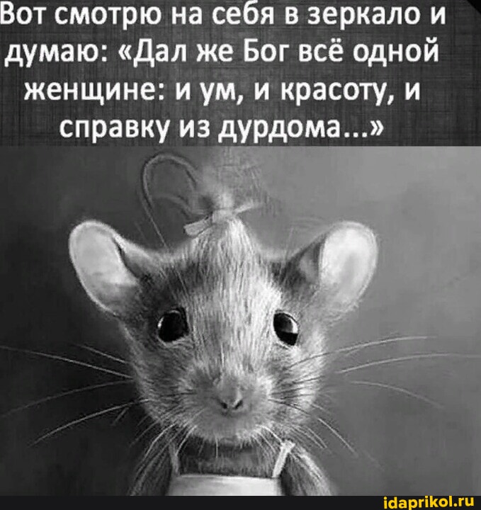 https://cdn.idaprikol.ru/images/2107626e0b656e846ce8606404489441a66446a6adde85ebc5fc2624901f23a1_1.jpg