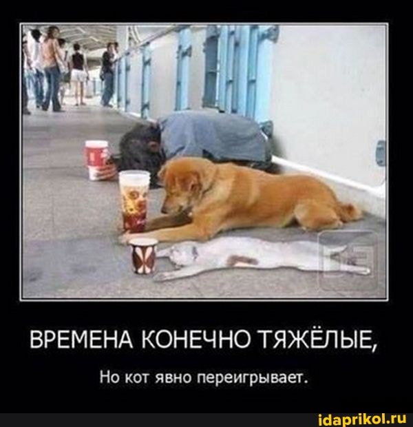ВРЕМЕНА КОНЕЧНО ТЯЖЁЛЫЕ,
Но кот явно переигрывает.