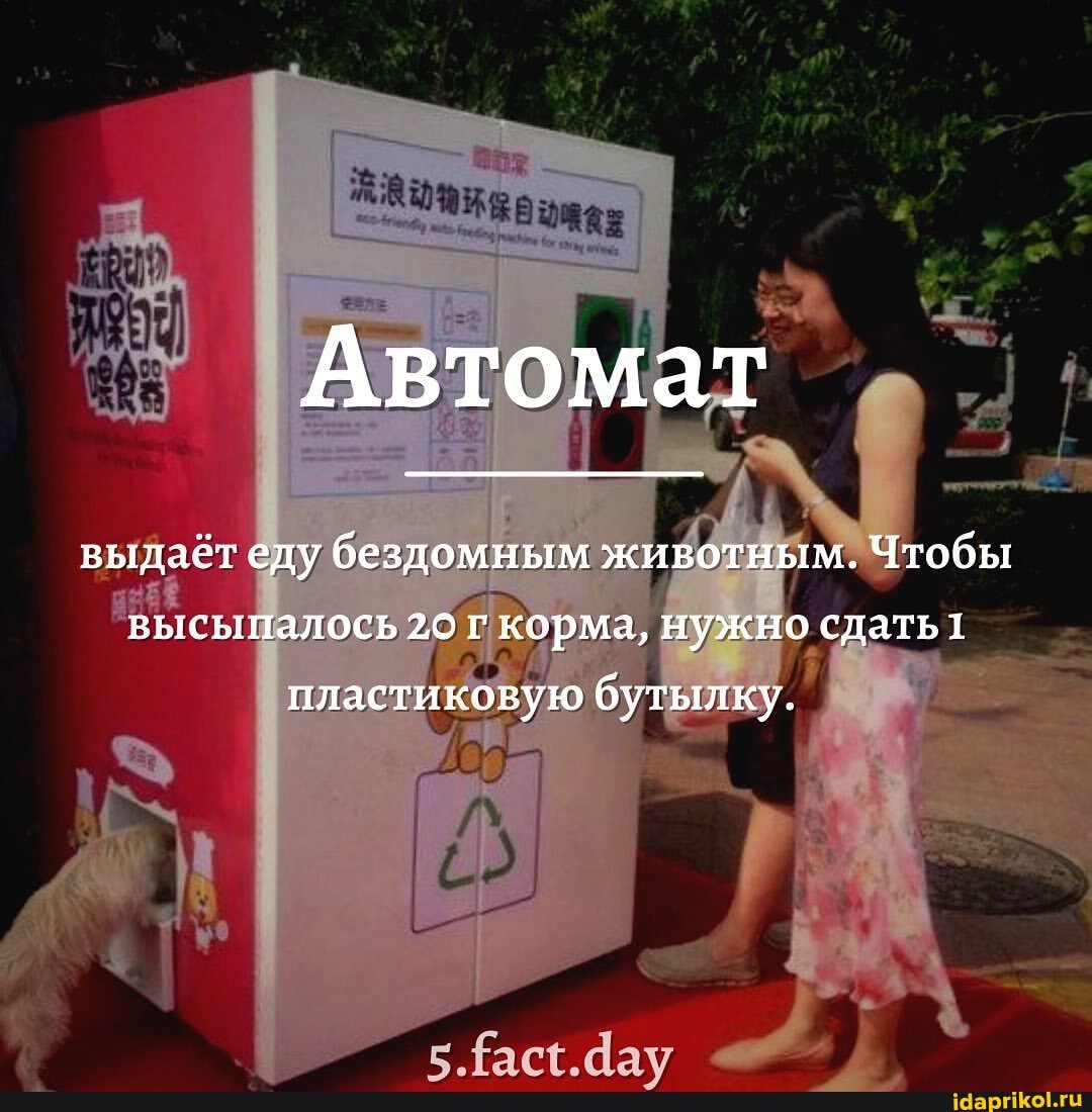 Автомат
выдаёт еду бездомным животным. Чтобы высыпалось 20 г корма, нужно сдать1 пластиковую бутылку.