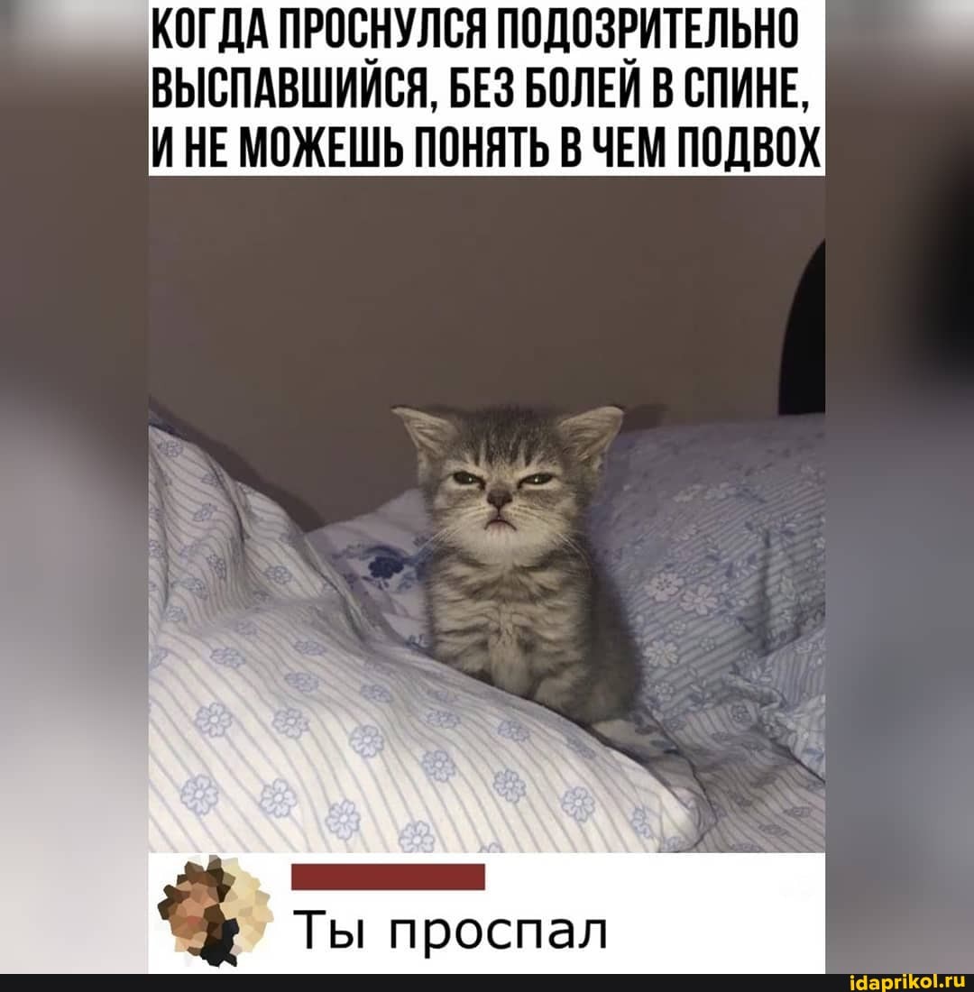 КОГДА ПРОСНУЛСЯ ПОДОЗРИТЕЛЬНО ВЫСПАВШИИСЯ, БЕЗ БОЛЕЙ В СПИНЕ,
ИНЕ МОЖЕШЬ ПОНЯТЬ В ЧЕМ ПОДВОХ
Ты проспал