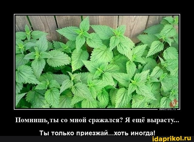 Помнишь,ты со мной сражался? Я ещё вырасту...
Ты только поиезжай.. хоть иногда!