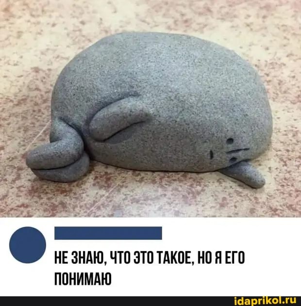 НЕ ЗНАЮ, ЧТО ЭТО ТАКОЕ, НО Я ЕГО ПОНИМАЮ
