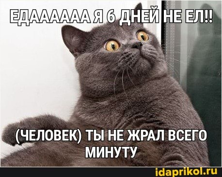 НЕ ЕЛН
(ЧЕЛОВЕК) ТЫ НЕ ЖРАЛ ВСЕГО МИНУТУ