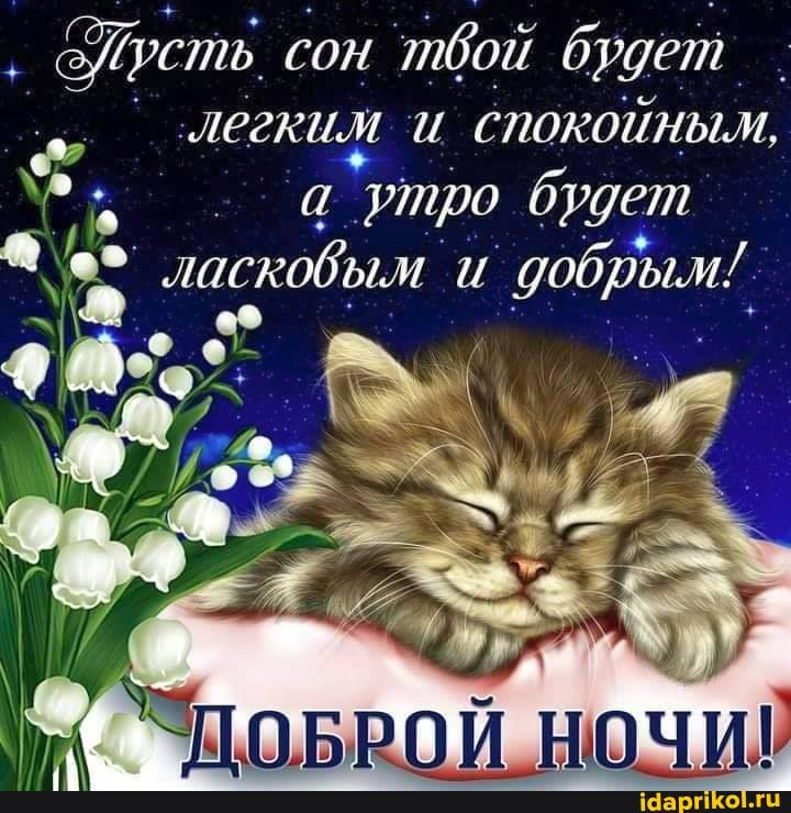 оИреть сон бой будет.
"легкими и спокойным,
ро будет ескобым и добрым