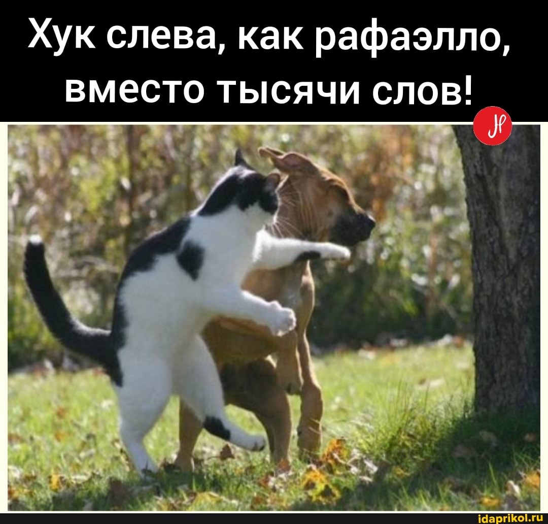Хук слева, как рафаэлло, вместо тысячи слов!