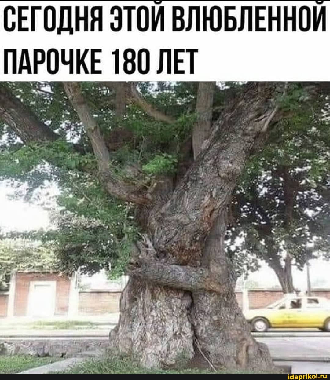 СЕГОДНЯ ЭТОИ ВЛЮБЛЕННОЙ ПАРОЧКЕ со ЛЕТ